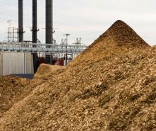 Biomass Pile Monitoring